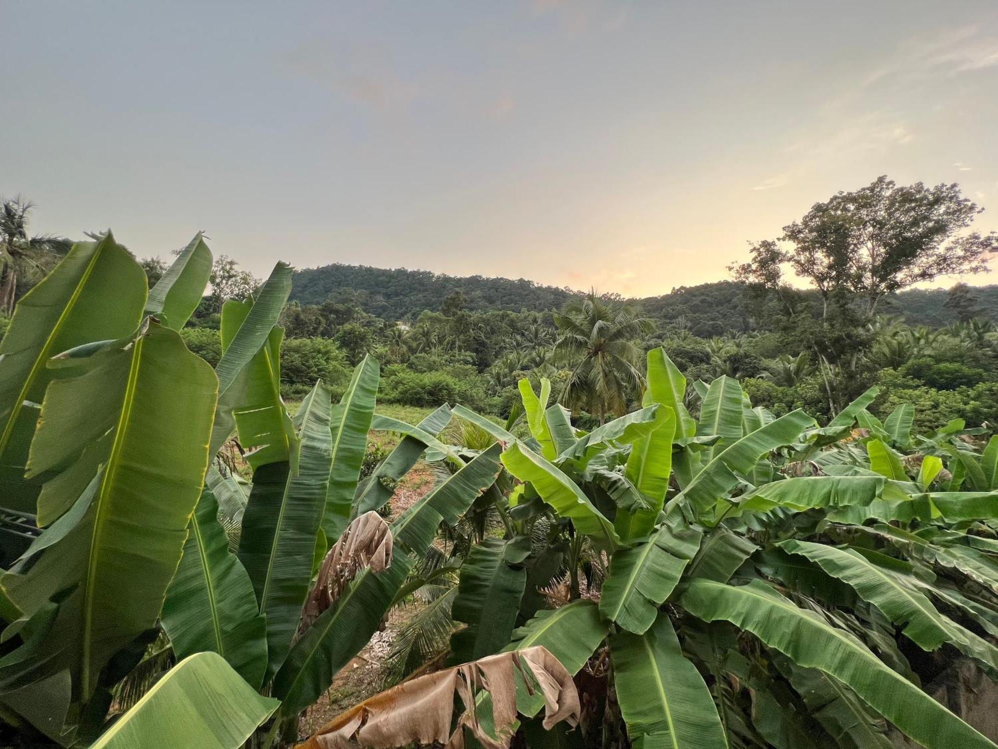 Bungalow Sang Tuoi Mountains Phú Quốc Exterior foto